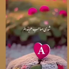 میدونستی تو سلطان قلبمی