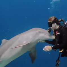 دلفین ها همیشه نزدیک به خط استوا زندگی میکنن مهربان