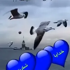 خدایا شکرت🤲