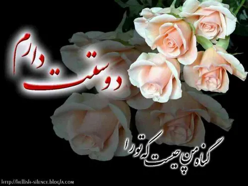 اجازه هست که عشقتو،توکوچه هادادبزنم؟