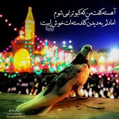 یا امام رضا هواتو کردم