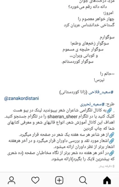 #سعید_فلاحی