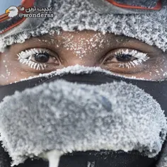 در قطب جنوب و شمال امکان سرماخوردن وجود ندارد و همچنین آن