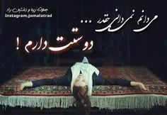 می دانم نمی دانی ؛؛؛