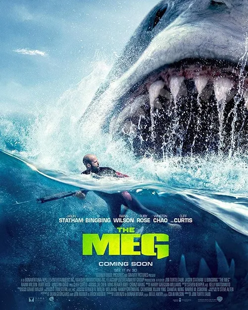 THE MEG