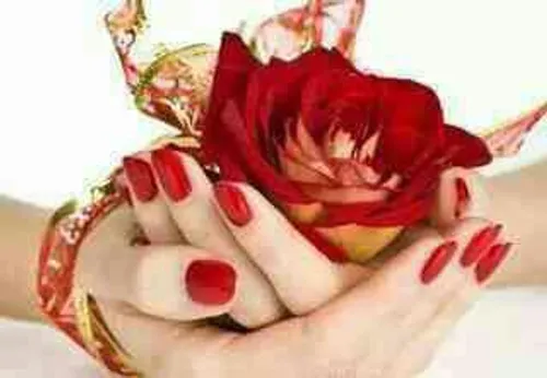 گل رز قرمز سنبل عشق