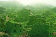 اینجا یک روستا در چین است که به حال خود رها شده بود 