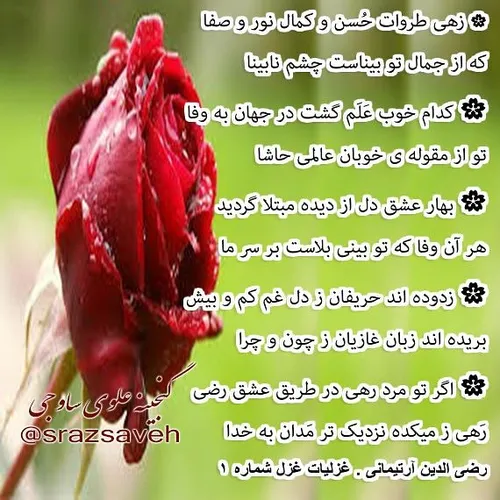 🌸 زهی طروات حسن و کمال نور و صفا