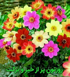 مذهبی hosseinnaseri1300 20746208