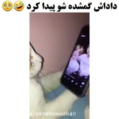 وووییی ننههه🥰😘🥺