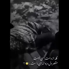 مقصر خودمونیم💔 