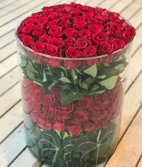 🌹 🌹 🌹 🌹 🌹 🌹