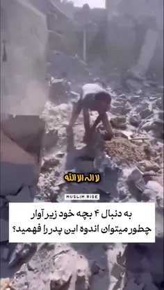63833708117 73511982