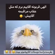 لعنتی ها آقاییتون مارو کشت 😆👊🏾