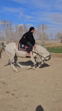 قشنگ ترین اسب و بهترین سوارکار  .... اونم دختر باشه 