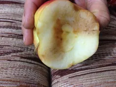 تو این عکس تو این سیب چیه همه جواب