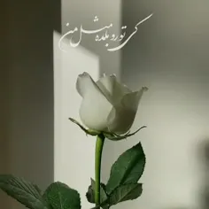 کی تو رو بلده مثل من ؟