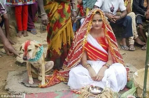 ازدواج اجباری دختر 9 ساله با سگ