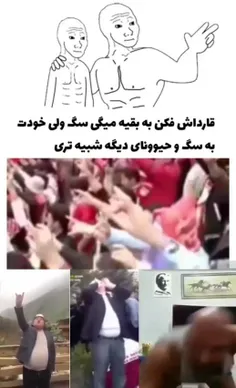 پانترکیسم 