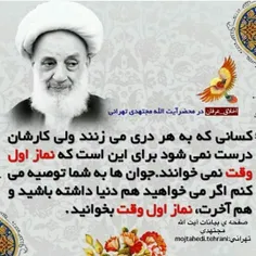 #آیت_الله_مجتهدی 