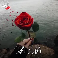 انگار مگه میشه که ندونه.........