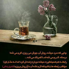 این عکس چن تا لایک داره؟؟؟؟؟؟؟؟؟؟؟؟؟؟؟؟