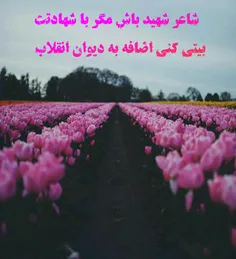 تصاویر پس زمینه shervin.m 23147789