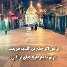 🍏  شاهنشهی و شد نجفَت مرکز شاهی