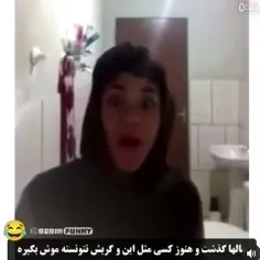 فقط گربش😹