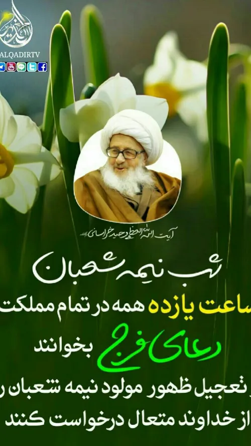 بر چهره پر ز نور مهدی صلوات . . . .🌷