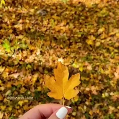 سلام 😍من با پاییز اومدم🍂🍁🍂🍁🍂