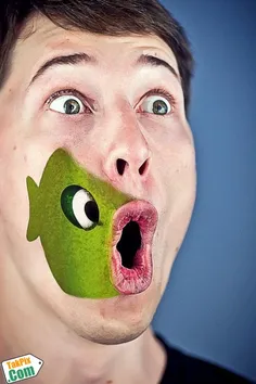 بدونه شرح