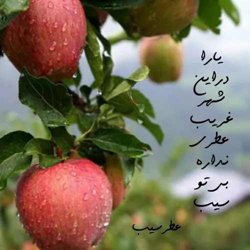 ♥️یارا در این شهر غریب