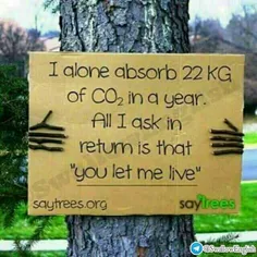 من به تنهایی، ٢٢ کیلوگرم دی اکسید کربن را هرسال جذب می کن