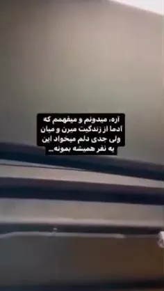 امیدوارم‌بدونی‌ک‌هیچ‌وقت‌‌از‌ذهنم‌نرفتی-!🖤🖇