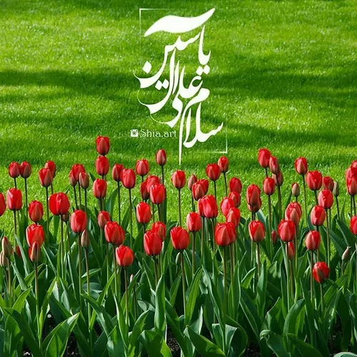 🌺 قدر خود و ایمان خود را بدانیم!