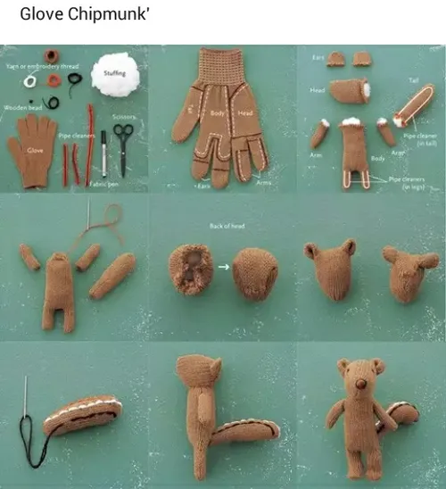 خلاقیت آموزش سنجاب دستکش