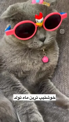 😎😌😂😂✅❤️❤️تقدیم به خردادی های عزیز
