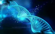 یک گرم DNA دارای ظرفیت 455 اگزا بایت است بنابراین 2 گرم D