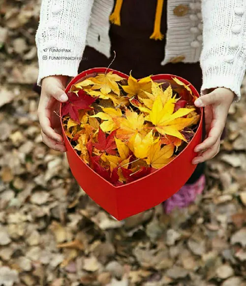 می گویند که