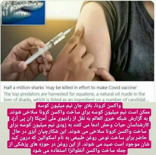 واکسن کرونا بلای جان نیم میلیون کوسه
