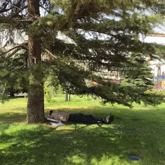 Havng a #nap under the #tree at the #Vanak sq | 8 July '1