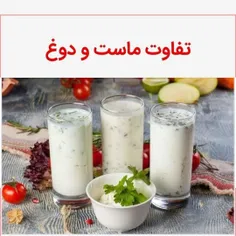 🔴 تفاوت ماست و دوغ