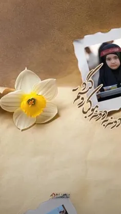 ▪️دونه به دونه موکبا رو گشتم...