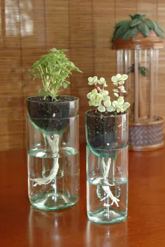استفاده از بطری شیشه ای برای گلدان