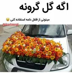 ورق بزنید........صرفا جهت خنده...