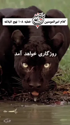 روزگار سختی شده 
