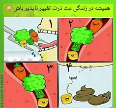 مثل ذرت باشید/: