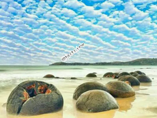 منظره ای از سنگ های مویی راک در سواحل نیوزلند❤ ️❤ ️