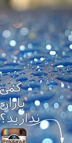 شرمنده‌ام قربان! کمی باران ندارید؟   /   در خود پلاسیدم، 